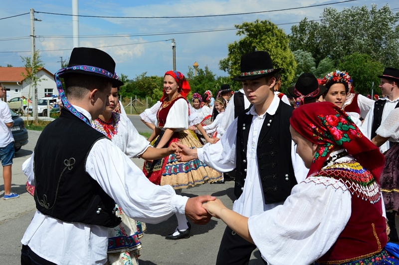 DSC_0309 (Medium).JPG